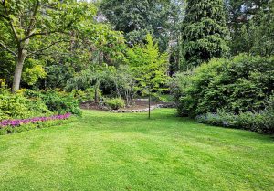 Optimiser l'expérience du jardin à Saint-Vigor-des-Mezerets